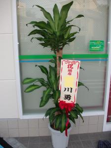 本日のお届け品｜「プチフローラ」　（東京都武蔵野市の花キューピット加盟店 花屋）のブログ