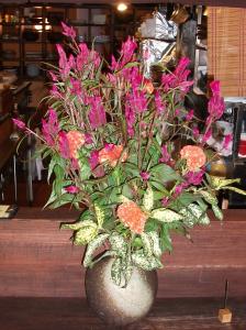 おもしろや｜「プチフローラ」　（東京都武蔵野市の花キューピット加盟店 花屋）のブログ