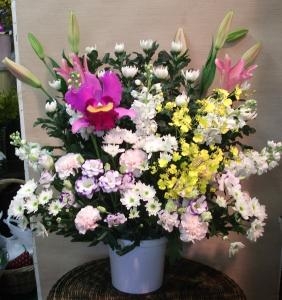 明日はお休みですが｜「プチフローラ」　（東京都武蔵野市の花キューピット加盟店 花屋）のブログ