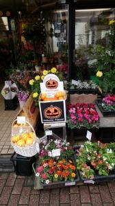 パンプキン｜「プチフローラ」　（東京都武蔵野市の花キューピット加盟店 花屋）のブログ