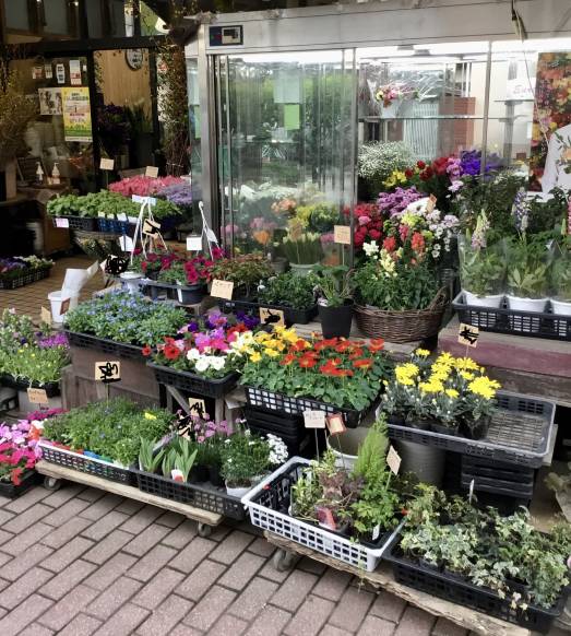 「プチフローラ」　（東京都武蔵野市）の花屋店舗写真2